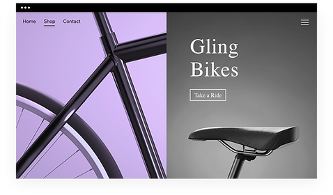 New bicycle website